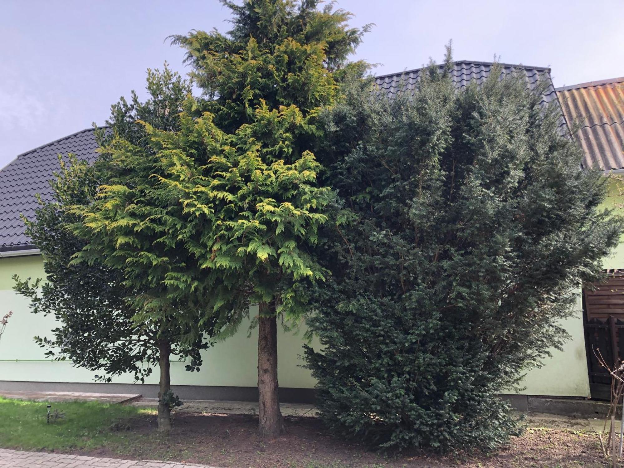 Ferienwohnung Bakonyi Mamutfenyo Vendeghaz Tés Exterior foto
