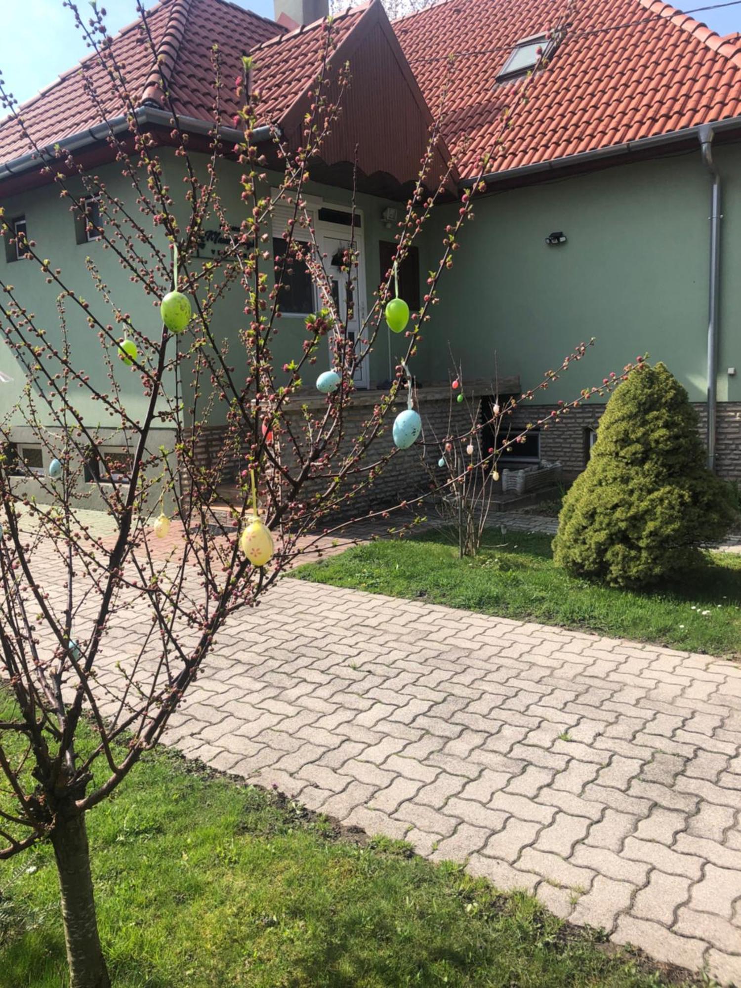 Ferienwohnung Bakonyi Mamutfenyo Vendeghaz Tés Exterior foto